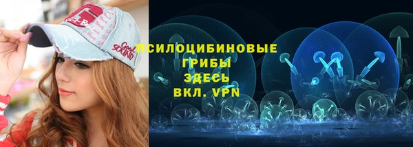 ешки Козловка
