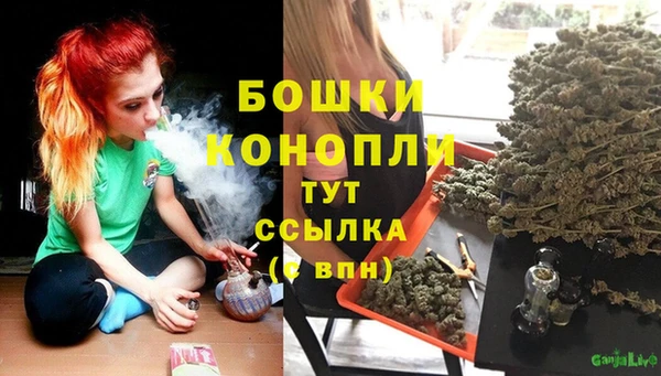 ешки Козловка